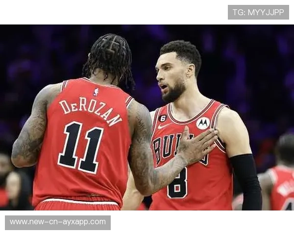 公牛队迎来关键战，拼搏到底，公牛队官方网站